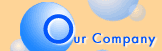 (Our Company)