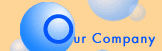 (Our Company)
