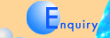 (Enquiry  Form)